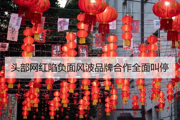 头部网红陷负面风波品牌合作全面叫停